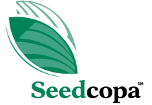 Seedcopa
